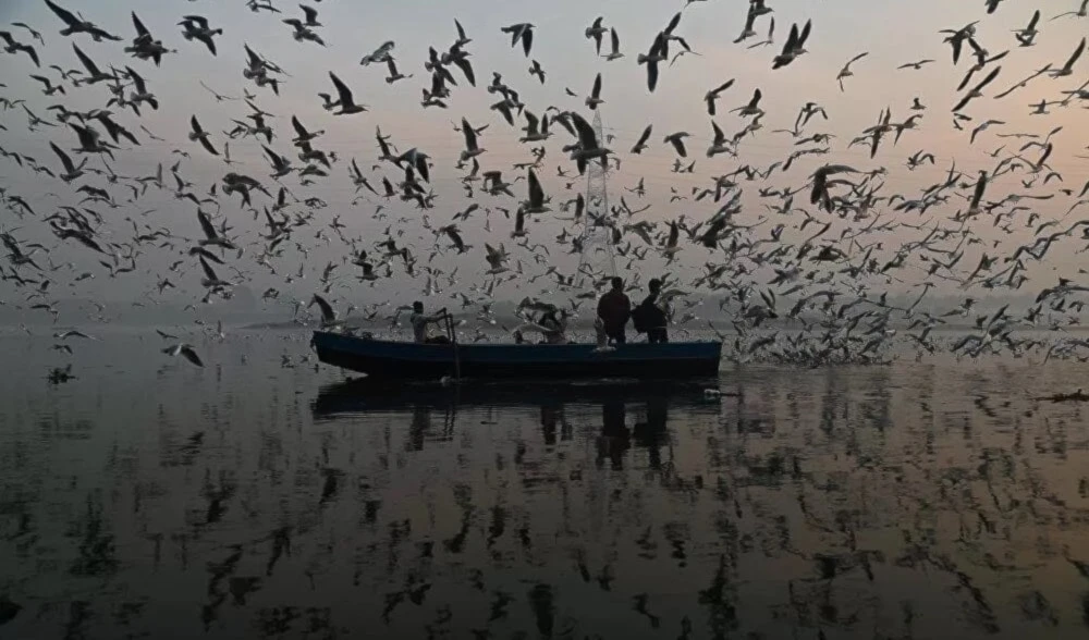 Fotografía de la India gana el Concurso Andréi Stenin. Foto: stenincontest.com
