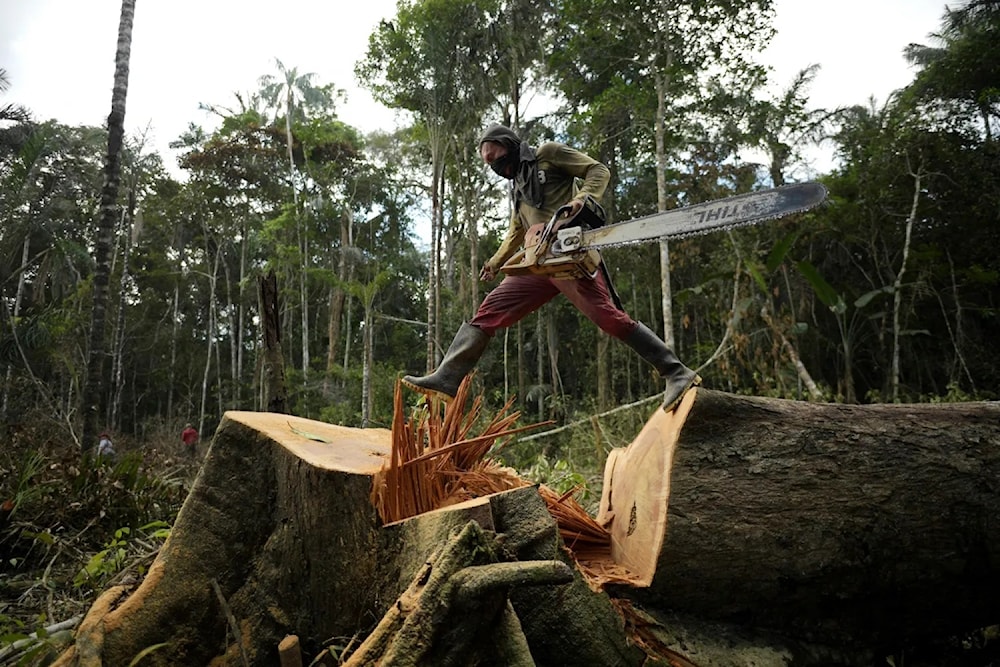 La Cumbre Amazónica abordará la lucha contra las drogas, ¿por qué? Foto: AFP. 