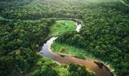 Llegan a Belén, en Brasil, participantes de la Cumbre de la Amazonía