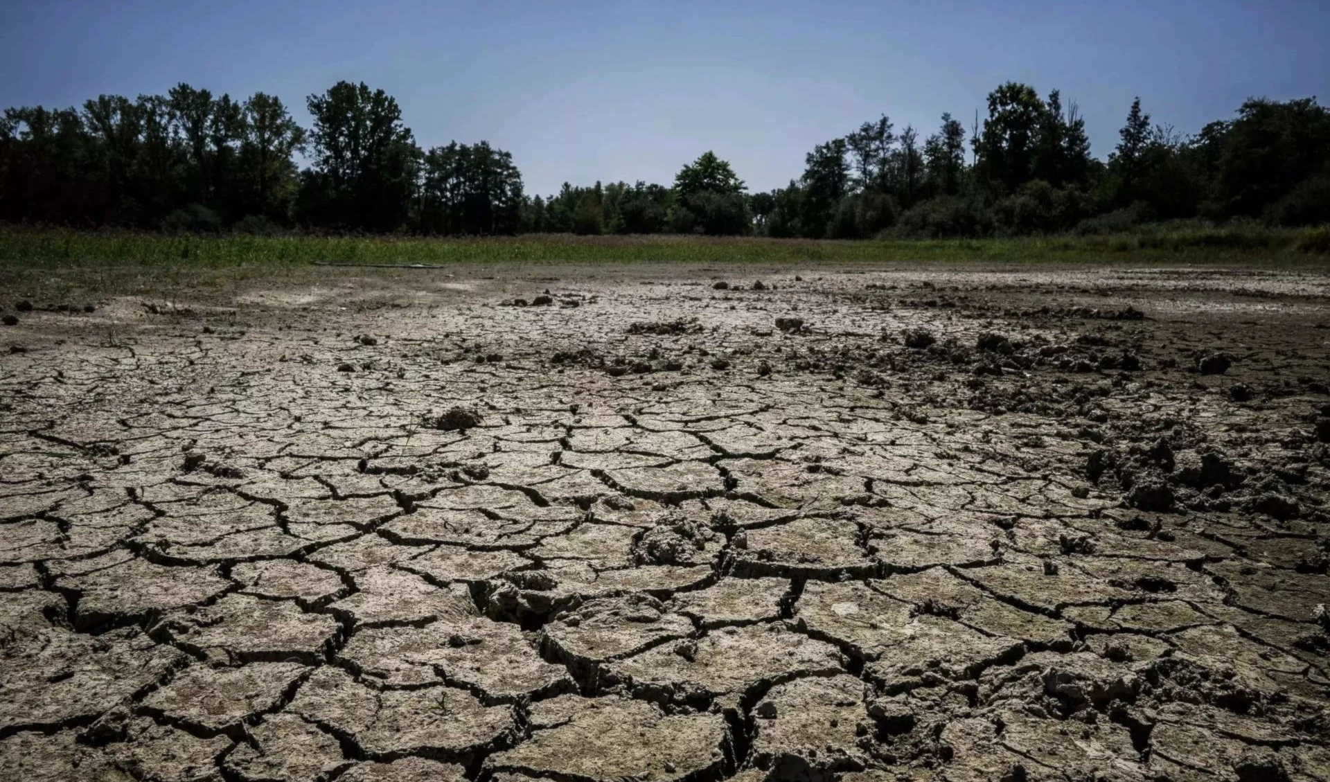 Japón e India reportan veranos más calurosos de su historia. Foto: AFP.