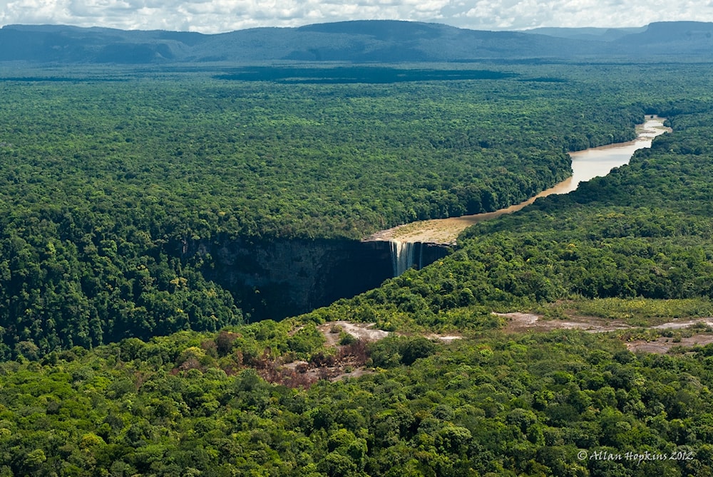 En Esequibo, territorio en disputa entre Venezuela y Guyana, a la riqueza mineral le acompaña una valiosa biodiversidad.