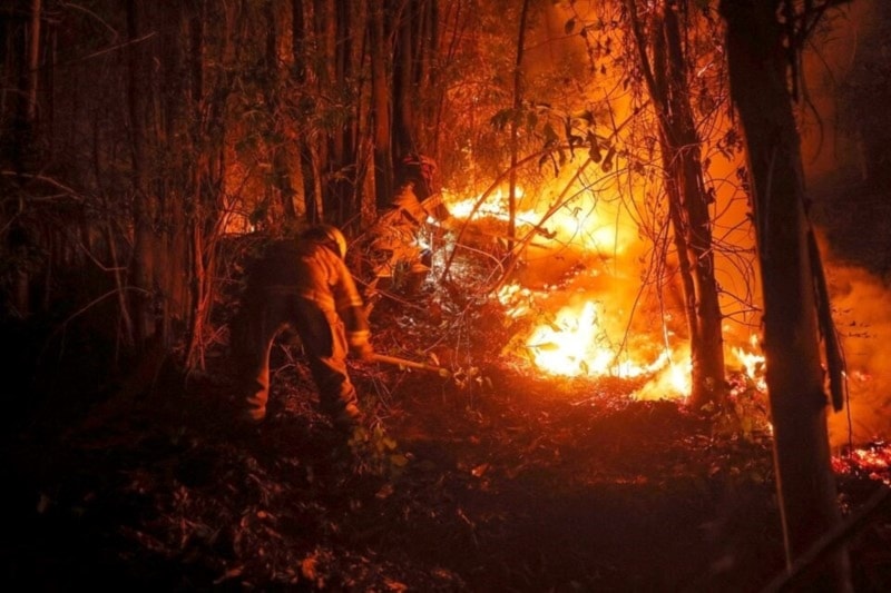 Investigan a empresas eléctricas de Chile por incendios forestales. Foto: AFP.