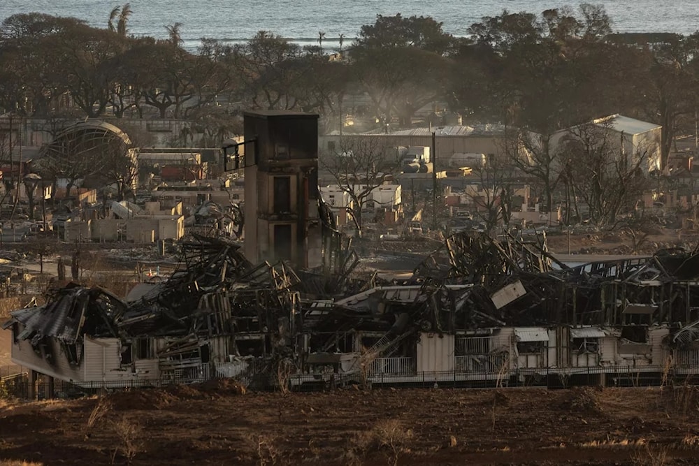 Más de 380 personas desaparecidas por los incendios en Hawái. Foto: AFP.