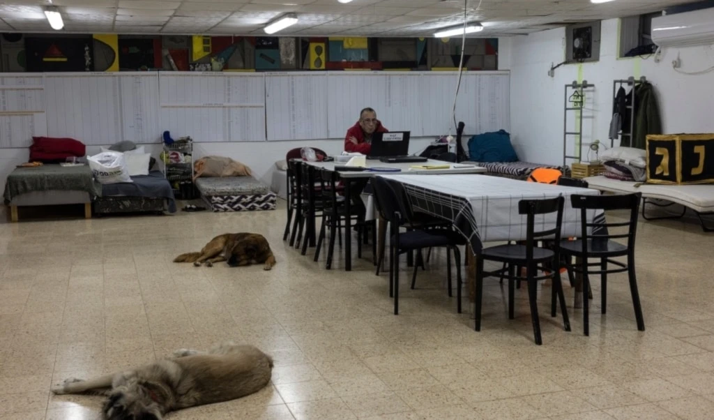 Poco a poco, la frontera norte de "Israel" llegará a Tel Aviv”.