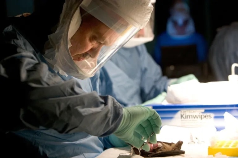 ¿Qué es la enfermedad del virus de Marburgo? Foto: AFP.