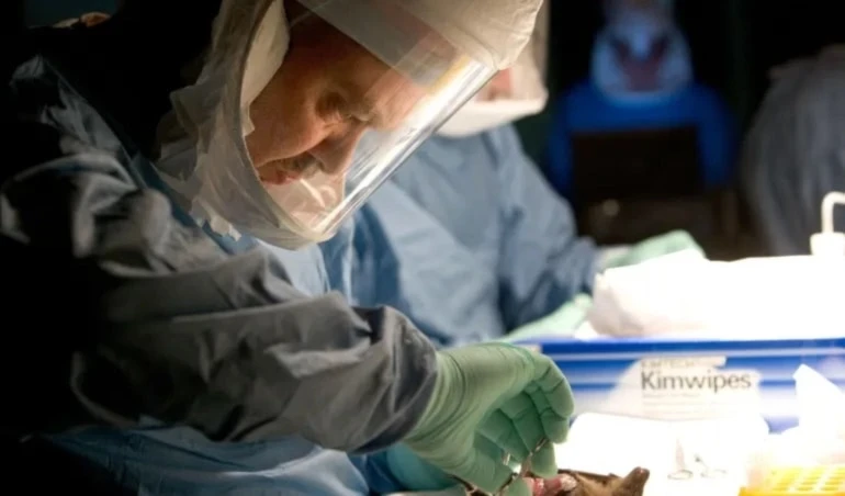 ¿Qué es la enfermedad del virus de Marburgo? Foto: AFP. ¿Qué es la enfermedad del virus de Marburgo? Foto: AFP.