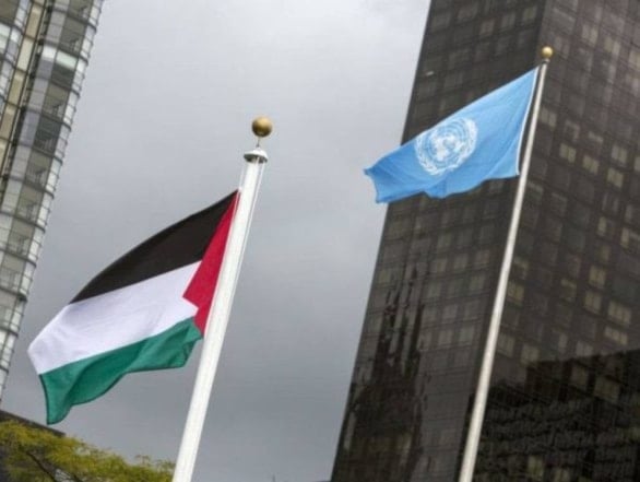 Palestina. ¿El genocidio en Gaza hizo irrelevante a la ONU?