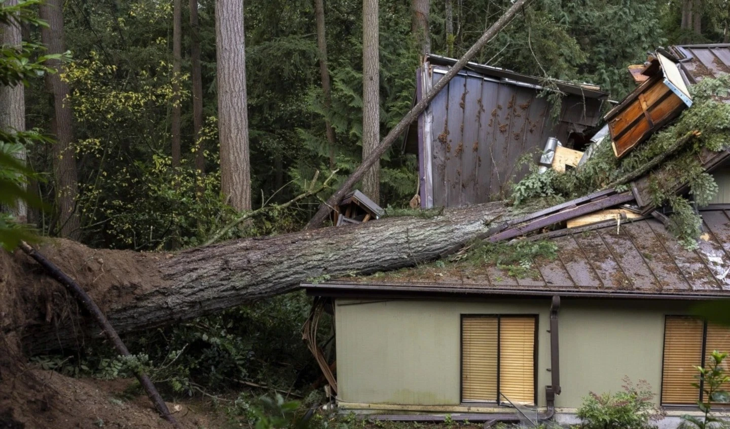 Un "ciclón bomba" azota Estados Unidos. Foto: AP.
