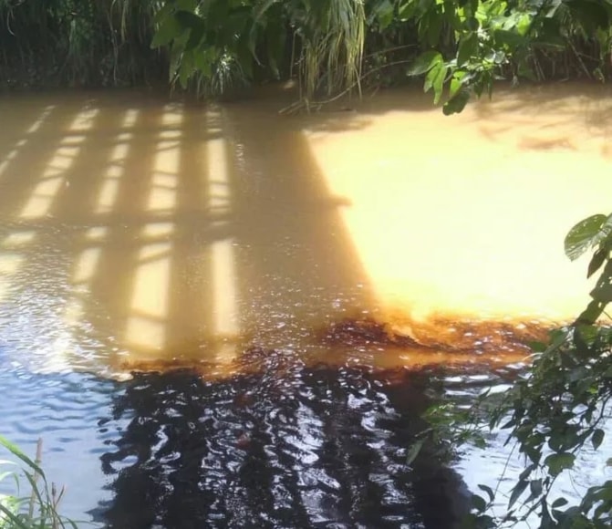 Perú declara emergencia ambiental en zona de la Amazonía. Foto: Sputnik. 