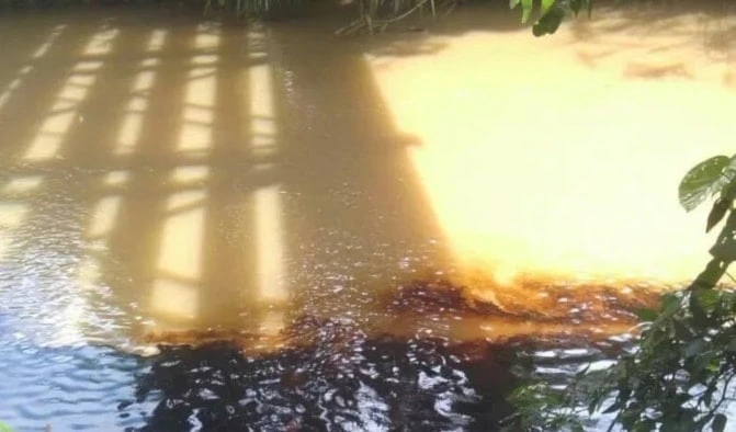 Perú declara emergencia ambiental en zona de la Amazonía. Foto: Sputnik. Perú declara emergencia ambiental en zona de la Amazonía. Foto: Sputnik.