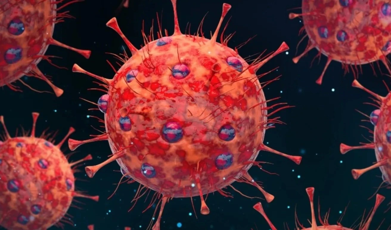 La Covid-19 redujo tumores cancerosos en estudio