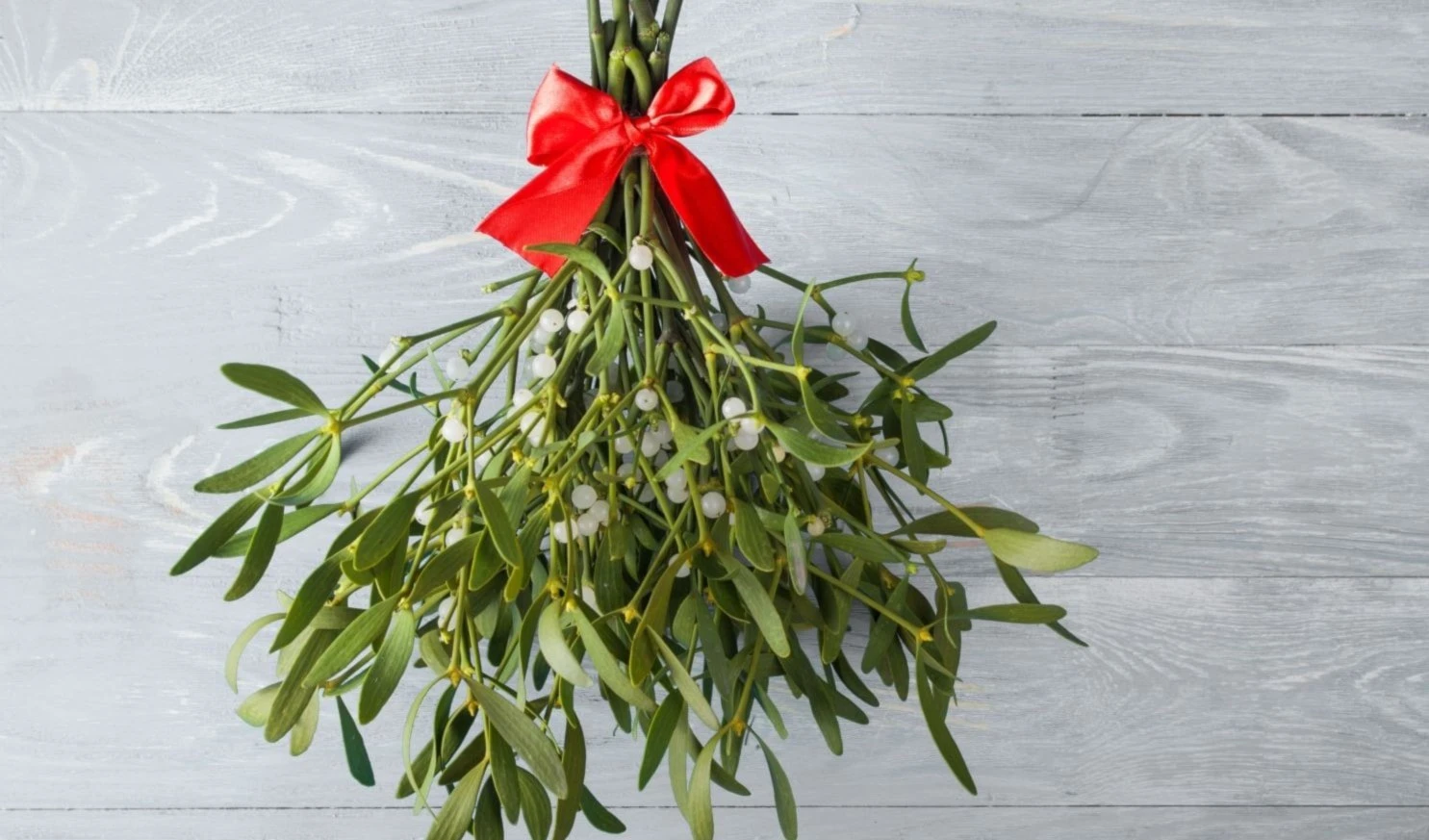 Muérdano de Reino Unido. Foto: Unsplash.