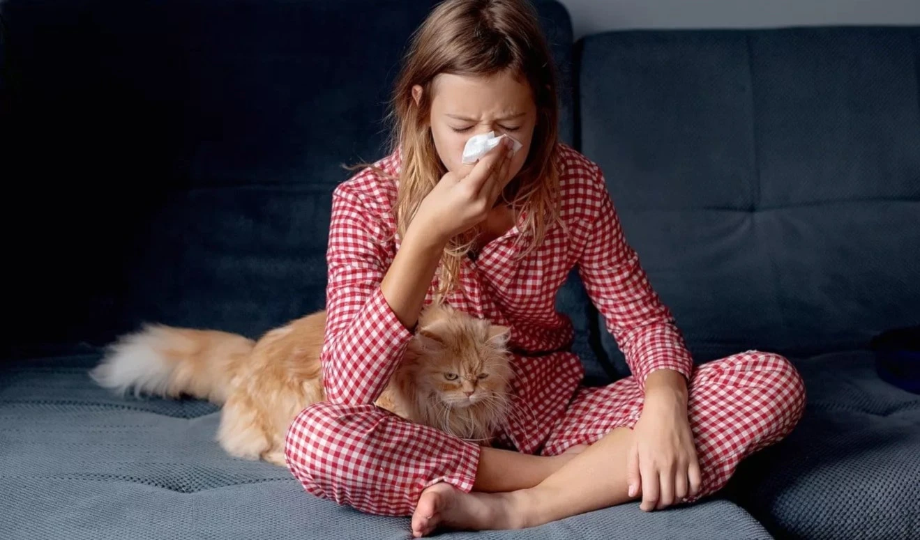 Estudio vincula el origen de las alergias a la infancia Estudio vincula el origen de las alergias a la infancia