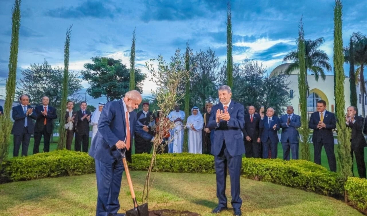 Lula sembró un olivo en la embajada de Palestina en Brasil. Foto: Redes de embajada.