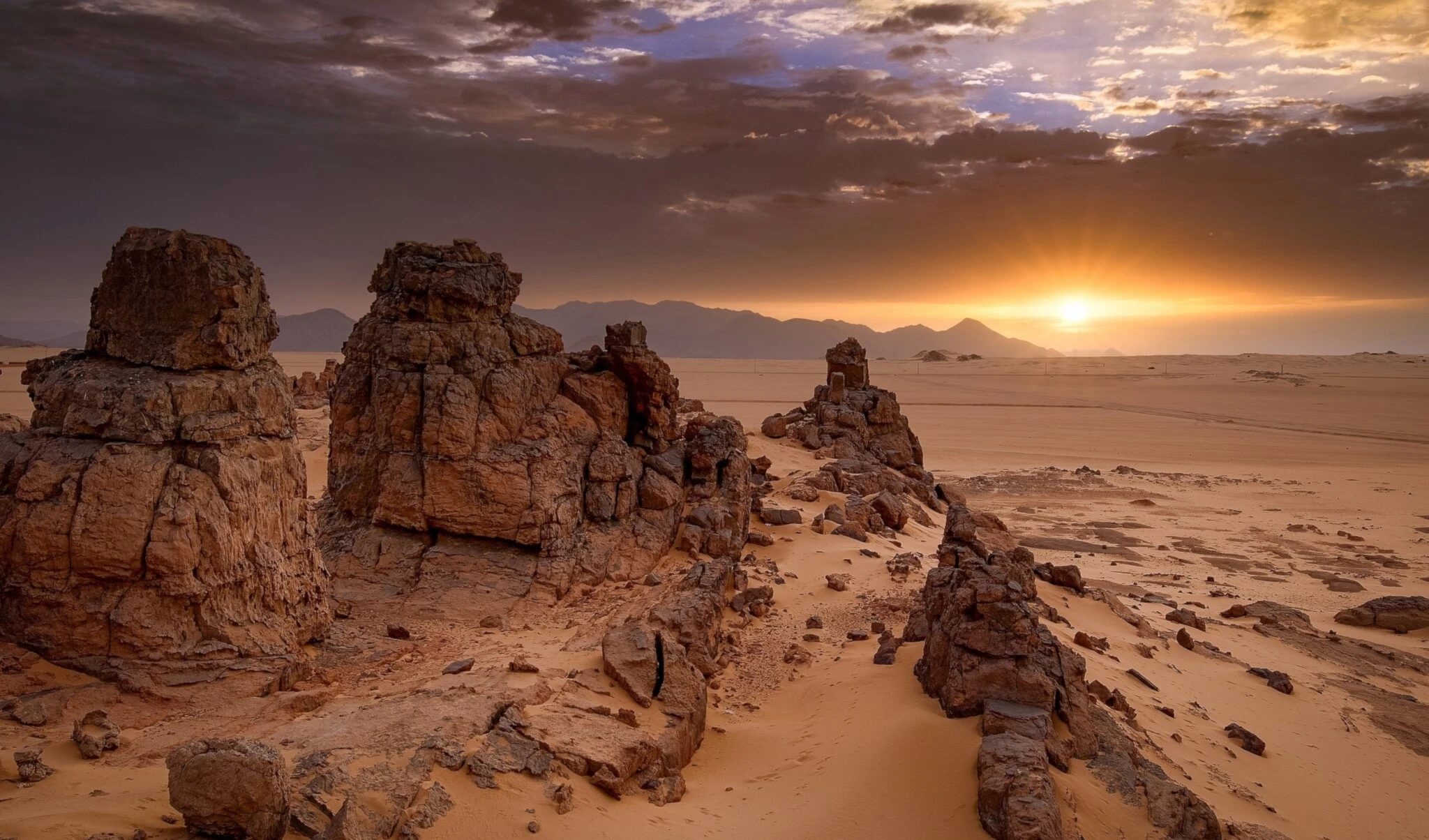 Una ciudad en Argelia guarda el "bosque inscrito" más antiguo