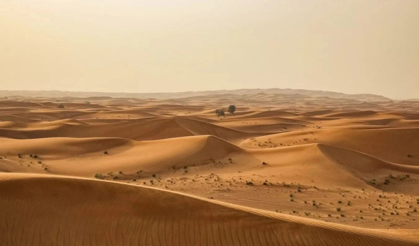 Las ondulaciones de la arena esconden una ley matemática. Foto: Pixabay.