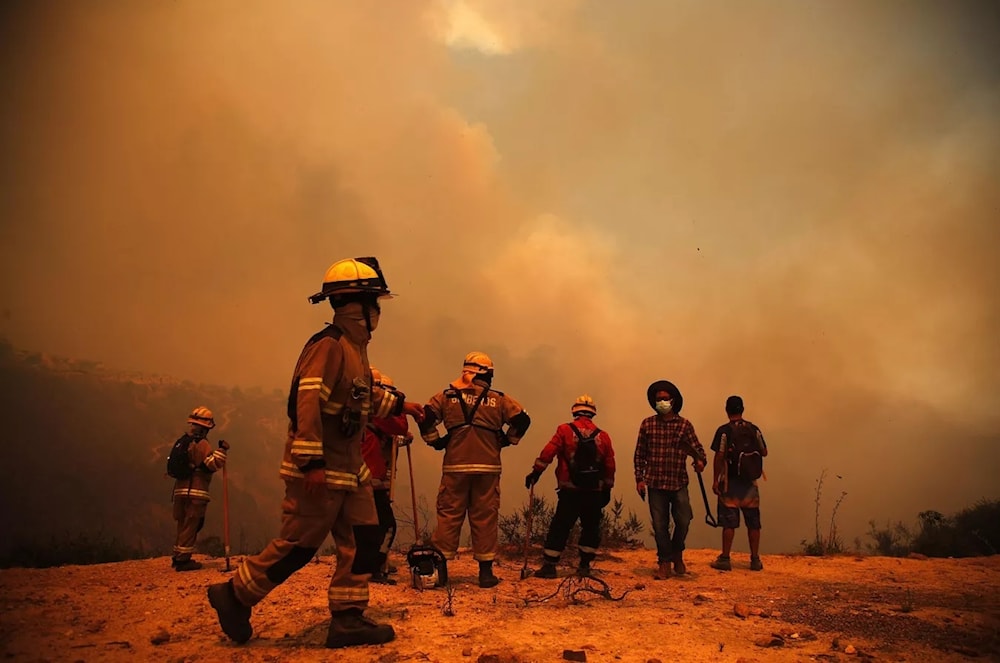 Incendios en Chile, febrero de 2024. Foto: AFP. 