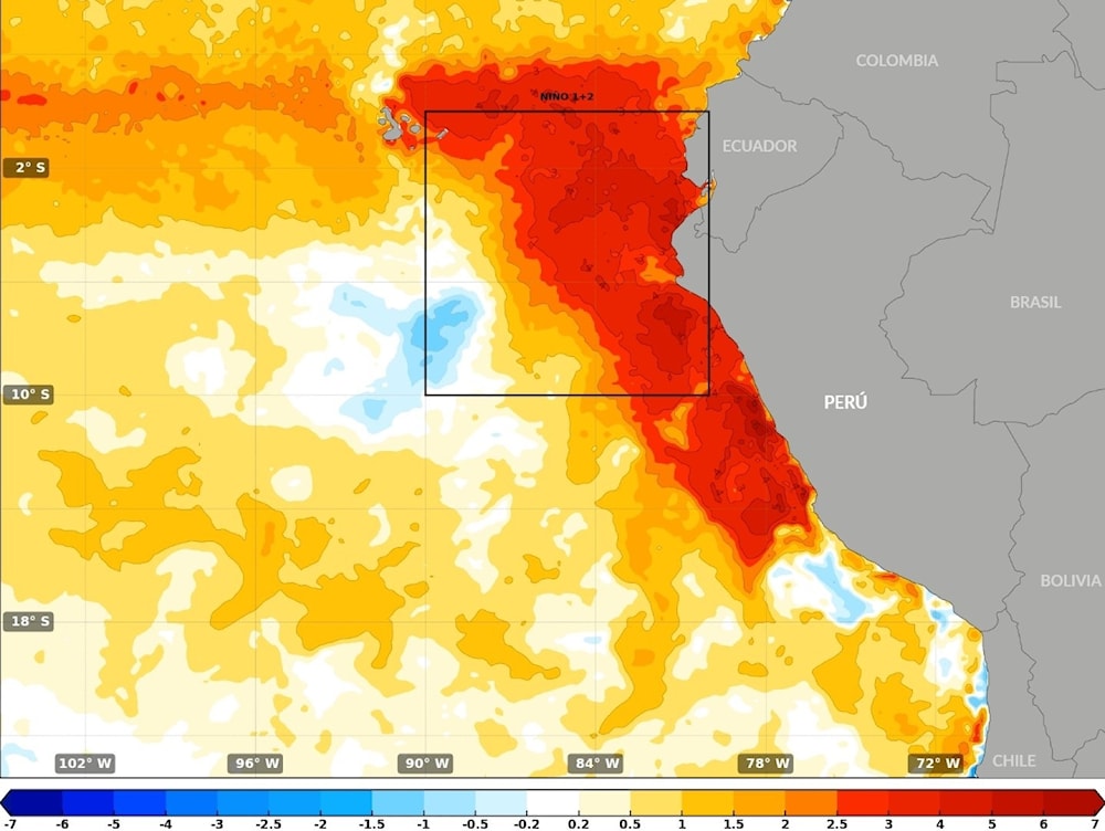 Fenómeno climático causa numerosas daños en Perú y Ecuador