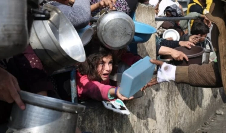 Aumenta malnutrición en Gaza a niveles críticos, advierte Programa Mun