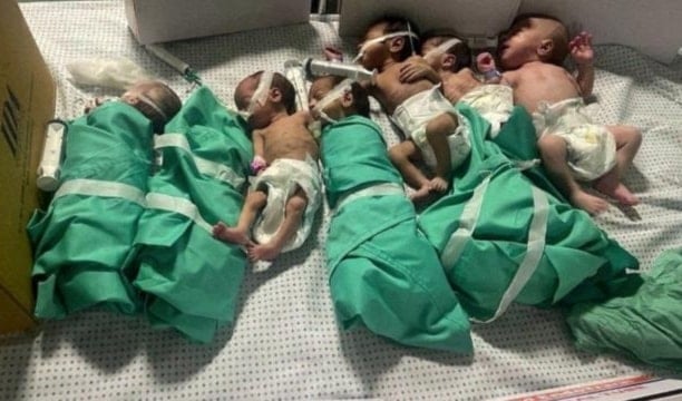 En las últimas 24 horas, siete bebés palestinos fallecieron por desnutrición en Gaza. 