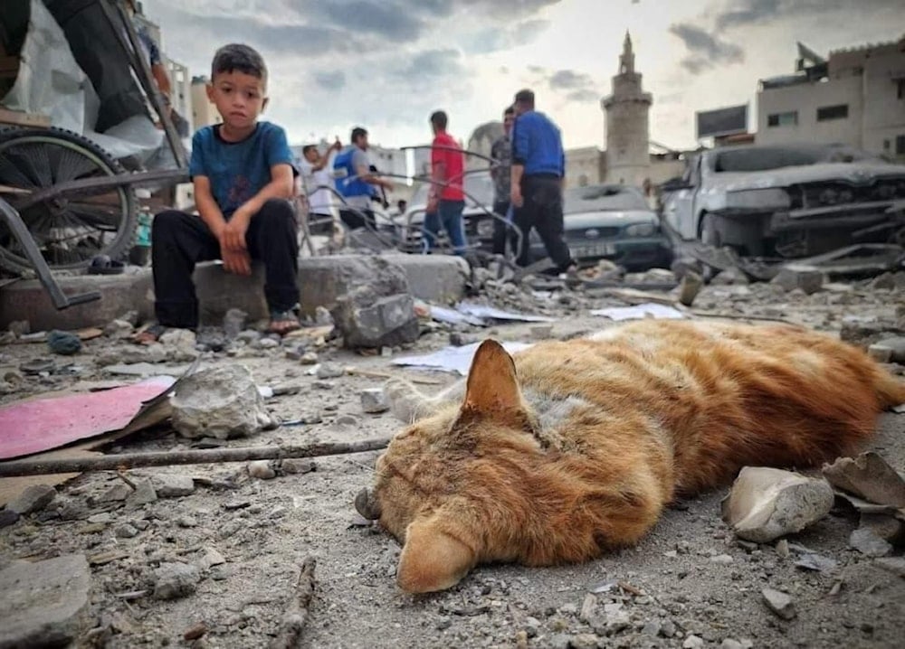 Destrucción en Gaza.