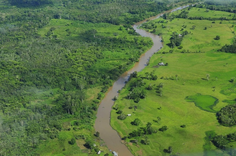 Deforestación en la Amazonía registró mínimo en el primer bimestre. Foto: Flickr. 