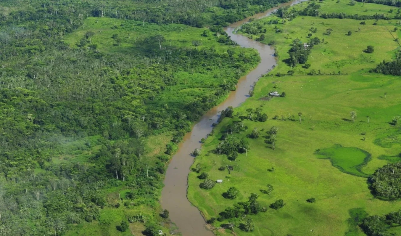 Deforestación en la Amazonía registró mínimo en el primer bimestre. Foto: Flickr.