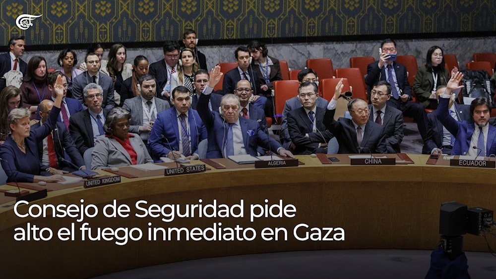 Consejo De Seguridad Pide Alto El Fuego Inmediato En Gaza Al Mayadeen Español 1588