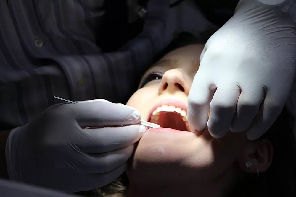 Crean en Japón un medicamento para regenerar los dientes. Foto: Pixabay. 