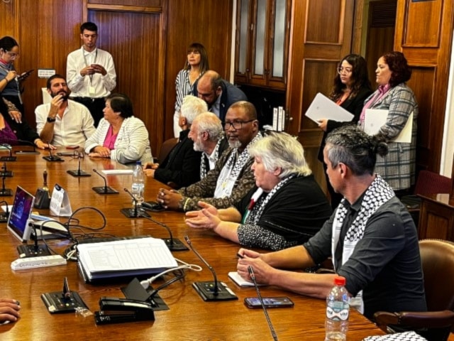 La doctora cubana Aleida Guevara y el diputado sudafricano, Zwelivelile Mandela, fueron recibidos por el Grupo Interparlamentario Chileno-Palestino en la Cámara Diputados del pais suramericano.