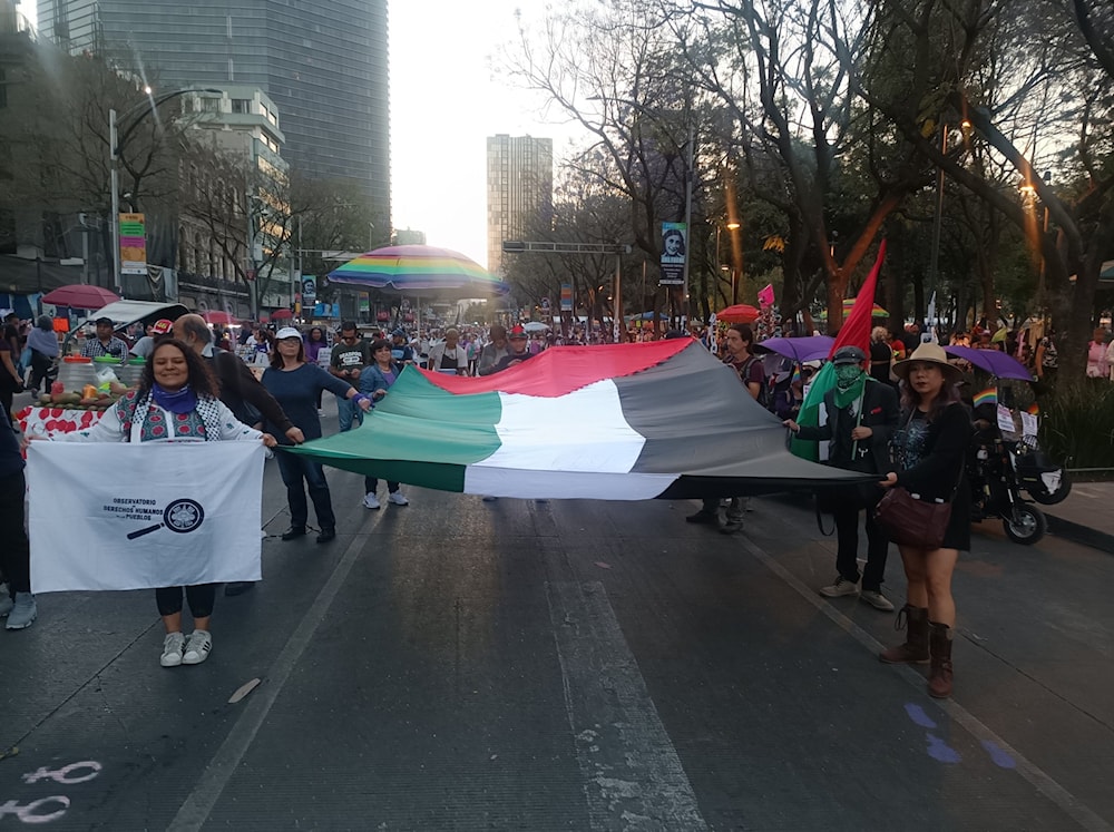 Desde Oaxaca, México, cientos de activistas dijeron 