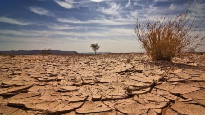 El sur de África alcanza niveles peligrosos de sequía.