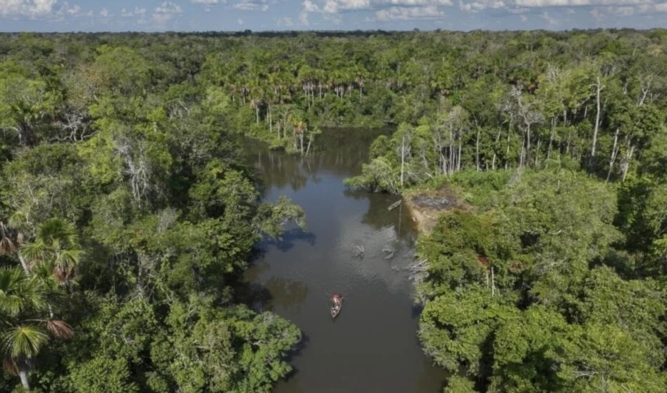 Brasil crea nuevo plan para frenar la deforestación en la Amazonía. Foto: AFP.