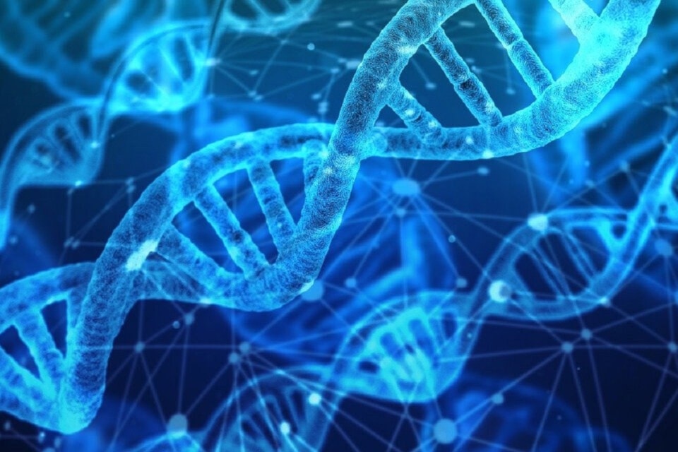 Desarrollan herramienta para investigar la complejidad del genoma
