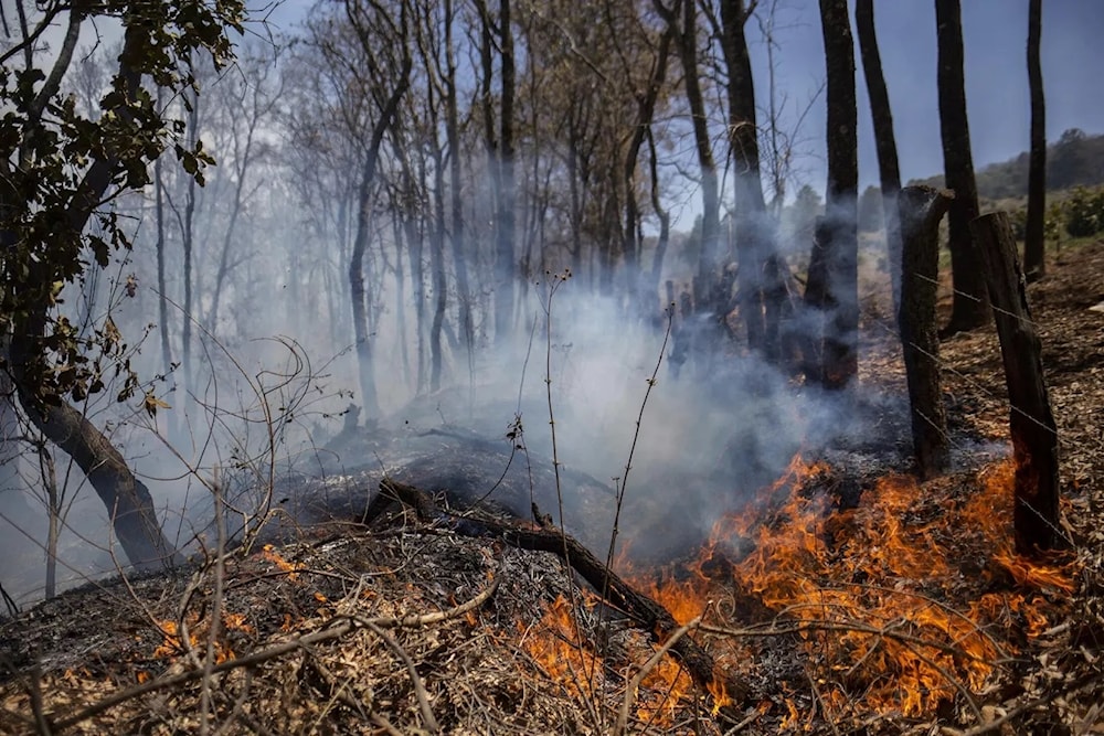 México reporta 69 incendios forestales activos. Foto: AFP