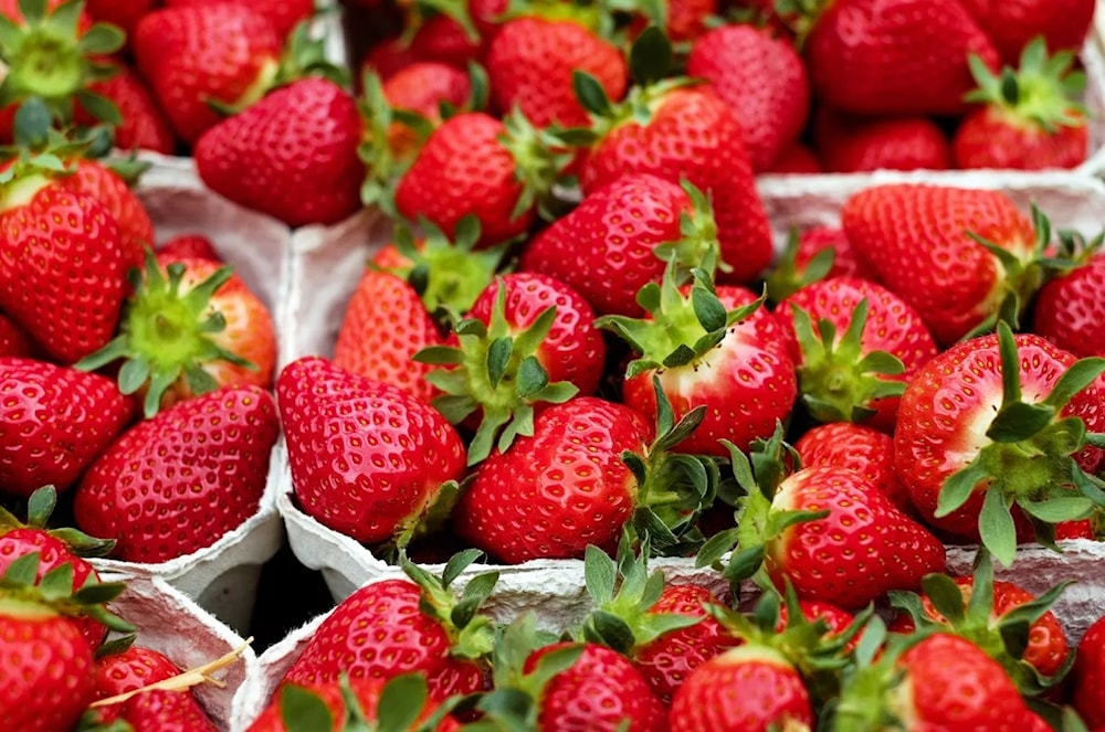 ¿Cuáles son los beneficios de las fresas para la salud? Foto: Pixabay. 