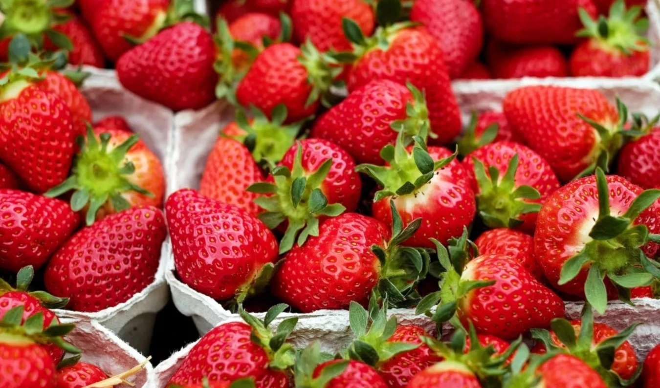 ¿Cuáles son los beneficios de las fresas para la salud? Foto: Pixabay.