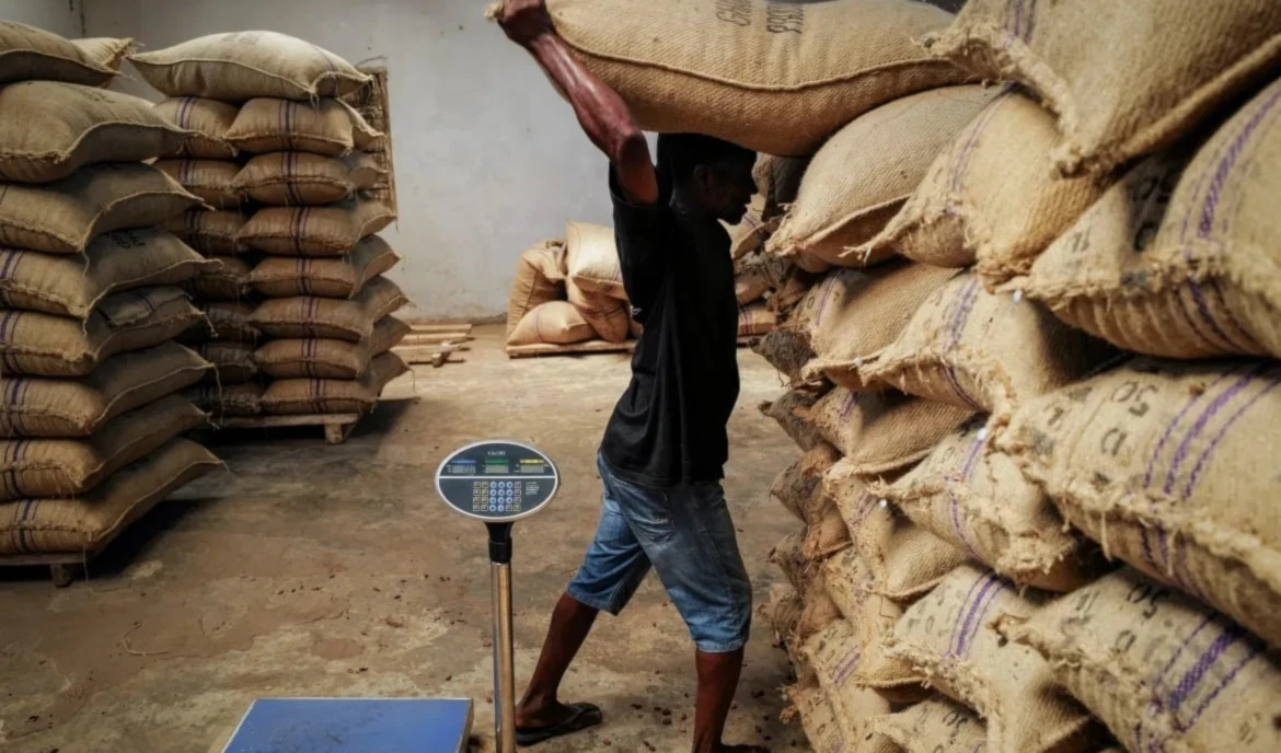 Trabajador transporta caco. Foto: Reuters. Trabajador transporta caco. Foto: Reuters.