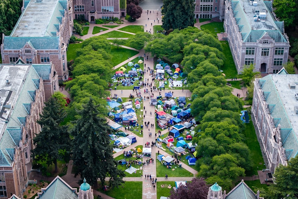 Los estudiantes universitarios estadounidenses instalaron campamentos de protesta en solidaridad con Gaza en los campus desde abril pasado.