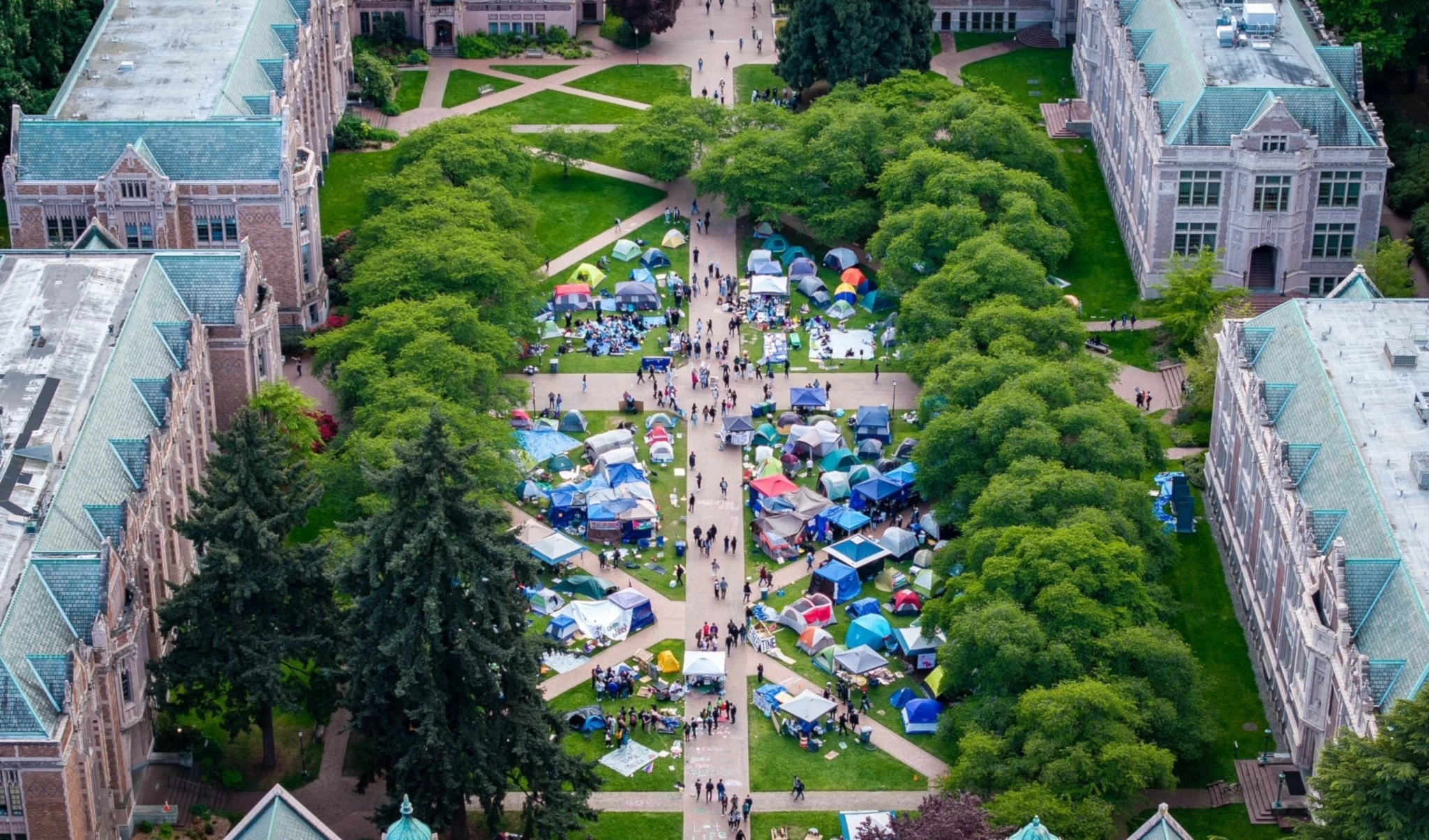 Los estudiantes universitarios estadounidenses instalaron campamentos de protesta en solidaridad con Gaza en los campus desde abril pasado.