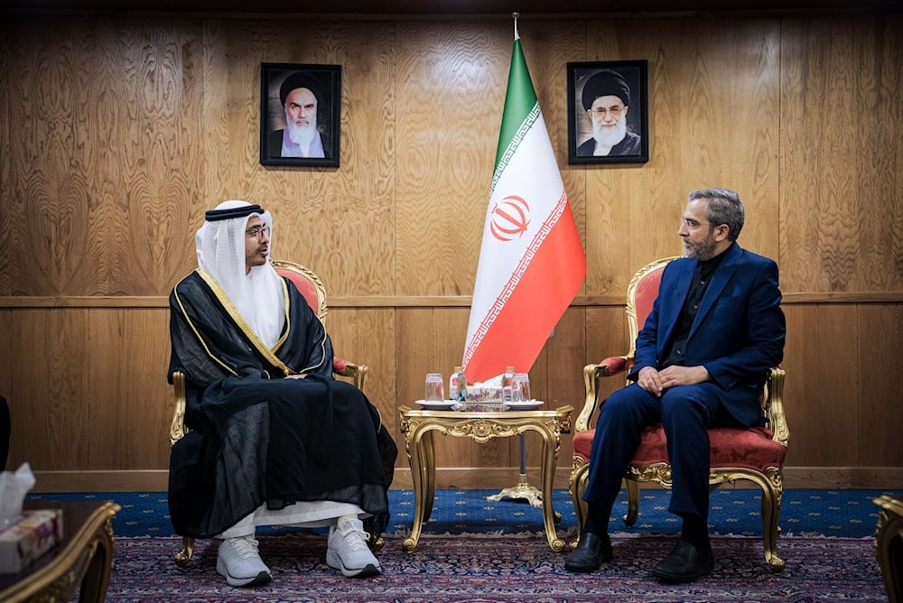 El actual encargado de la cancillería iraní, Ali Baqeri Kani y el ministro de Exteriores de Emiratos Árabes Unidos, Abdullah bin Zayed.