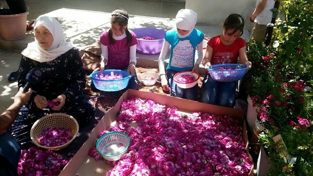 La Rosa de Damasco: celebración, alegría y orgullo en Siria