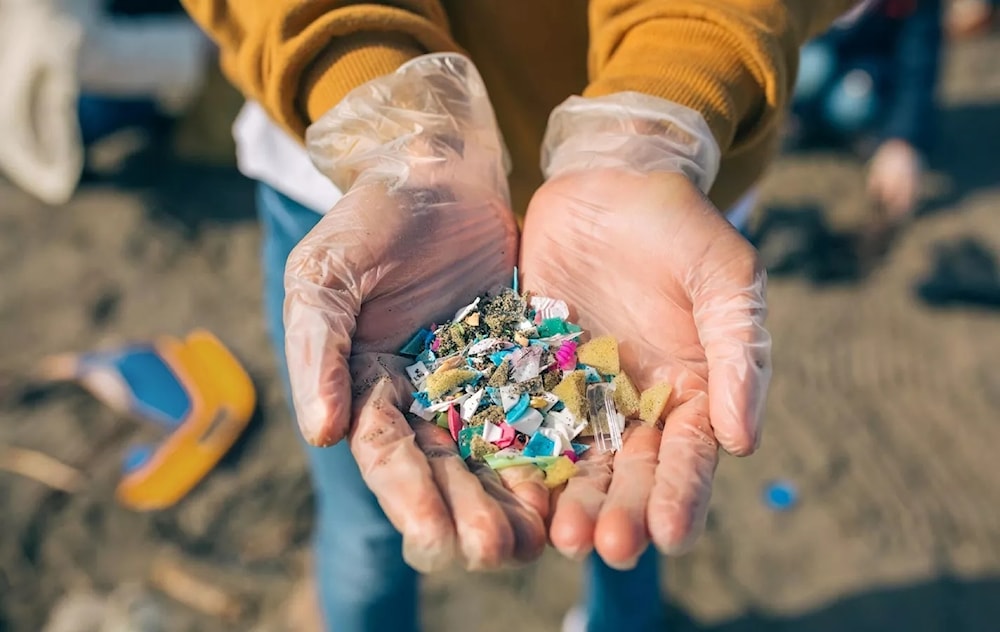 Revelan los países con mayor consumo de microplásticos. Foto: Captoplastic