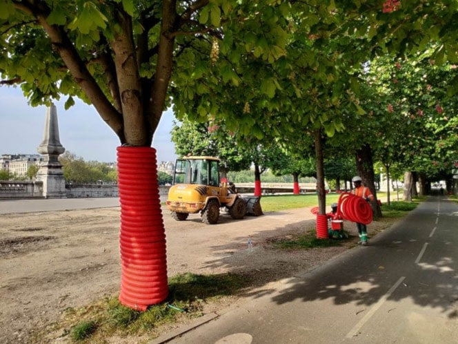 Intensifican preparativos para Juegos Olímpicos de París 2024. Foto PL.