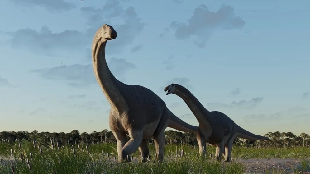 Descubren fósil de titanosaurio en la Patagonia, Argentina