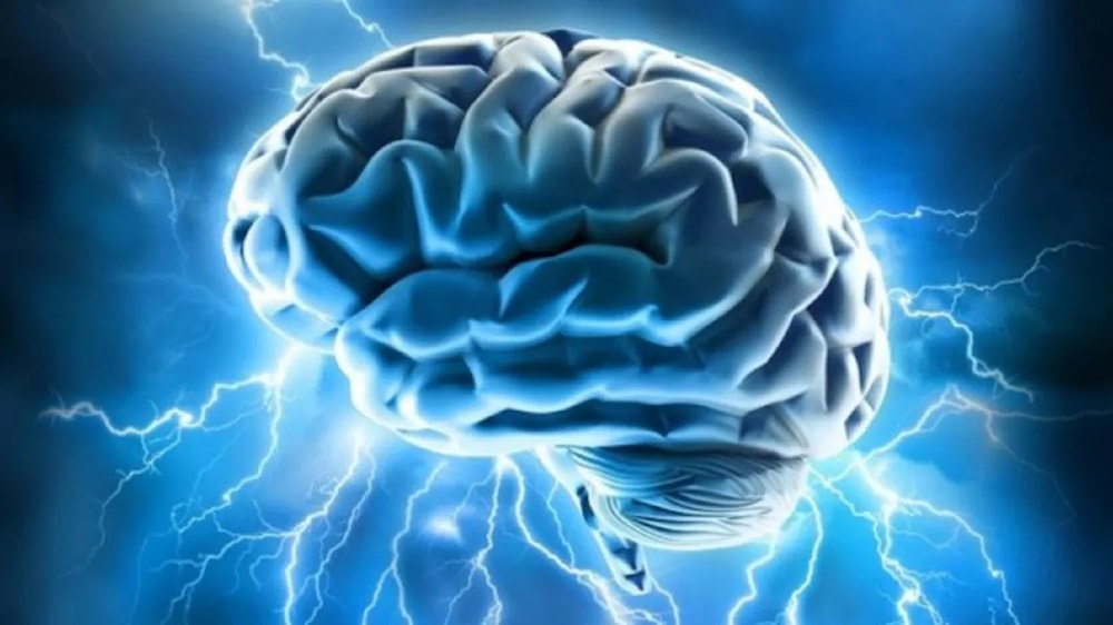 ¿Puede el frío o el calor afectar el desarrollo del cerebro? Foto: Flickr. 