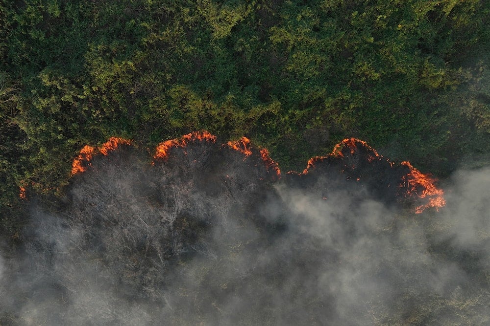 Brasil decreta estado de emergencia en el mayor humedal del mundo. Foto: Reuters. 