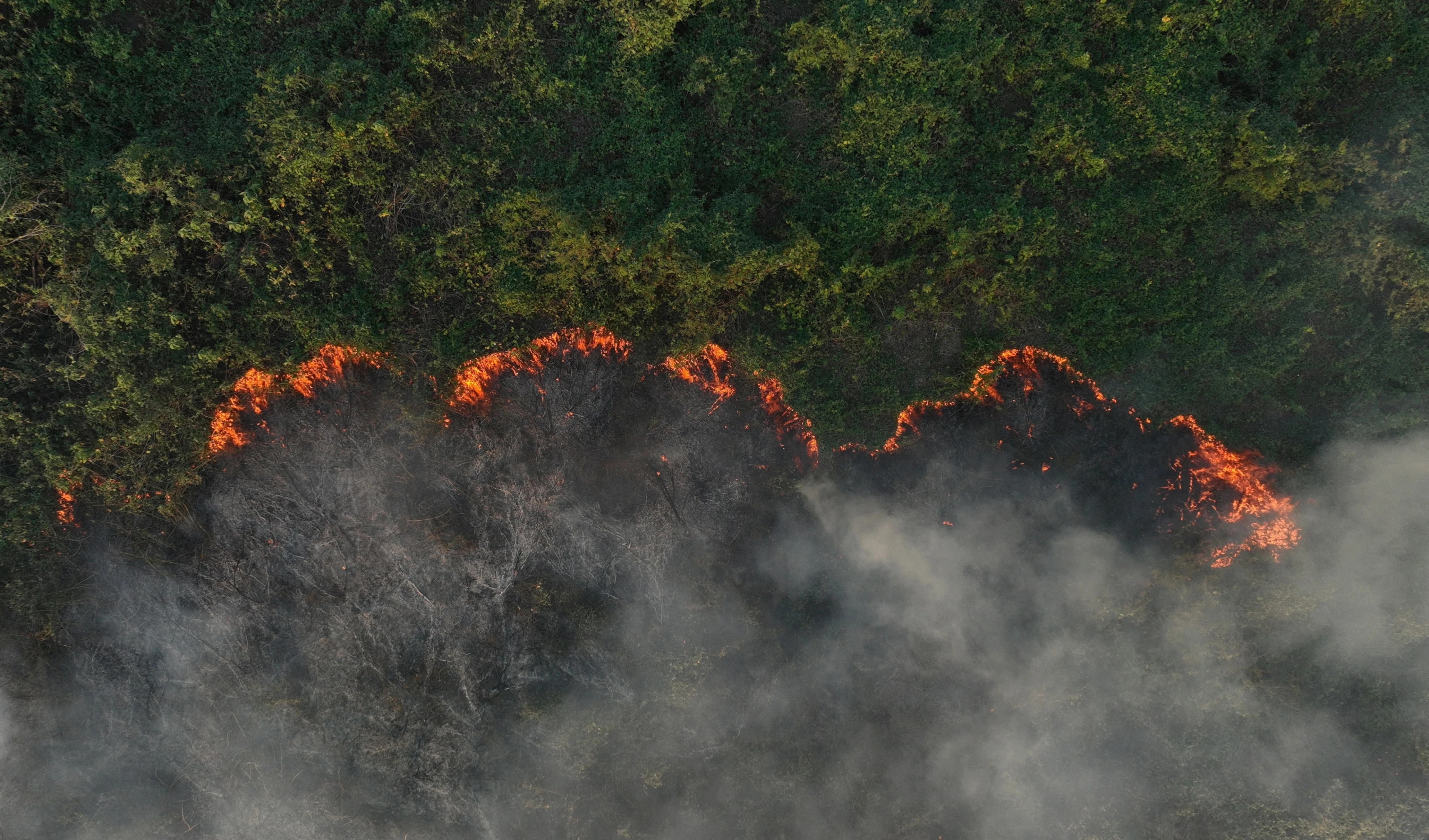 Brasil decreta estado de emergencia en el mayor humedal del mundo. Foto: Reuters.