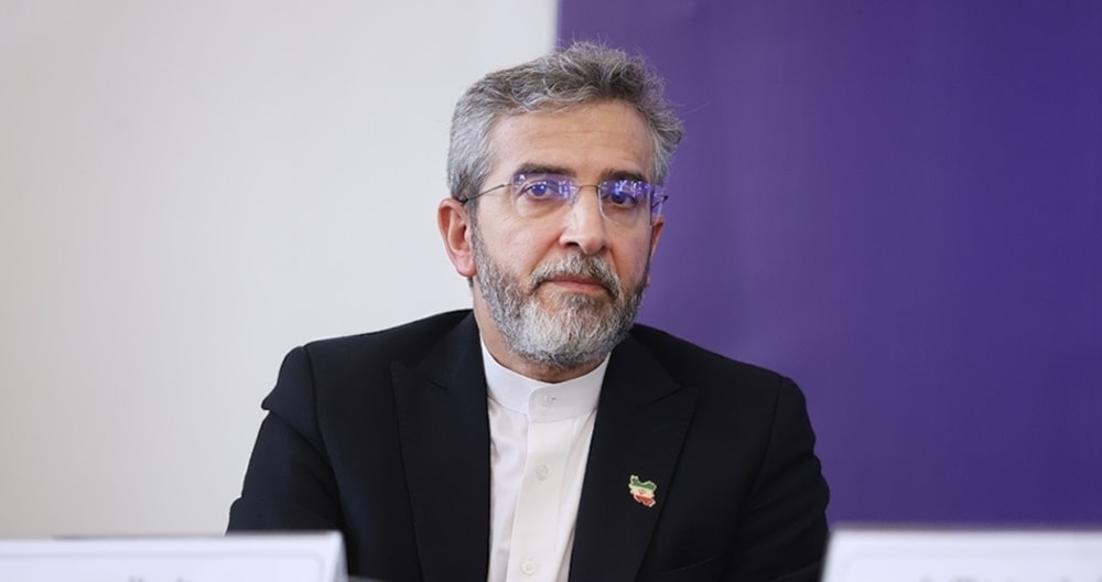 El ministro interino de Relaciones Exteriores de Irán, Ali Bagheri Kani.