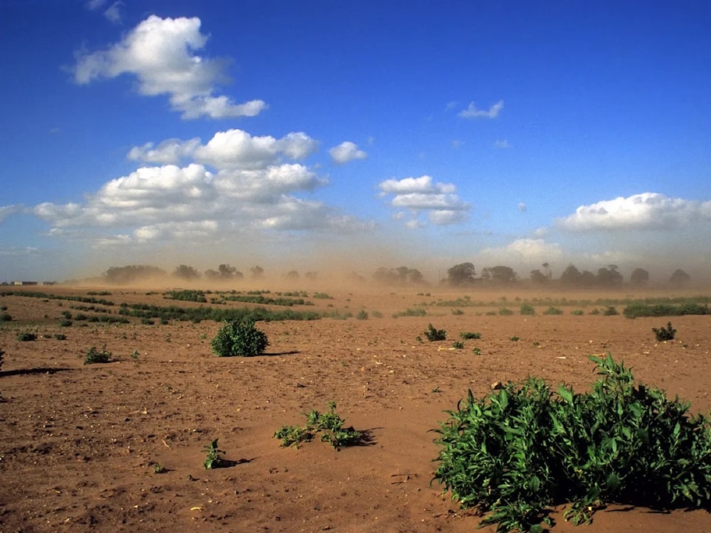 Llaman a proteger las tierras en Día Mundial del Medio Ambiente. Foto: Alamy.
